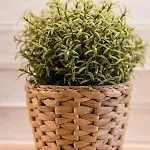 Groble Wawelofts *