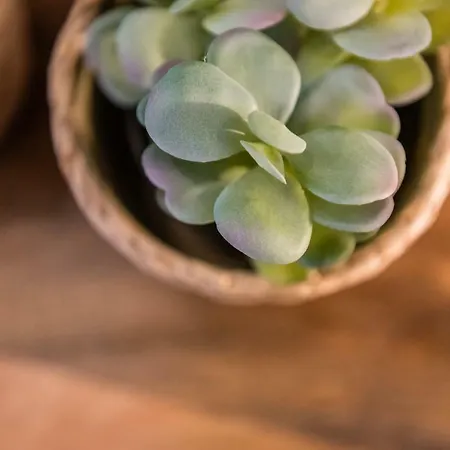 Groble Wawelofts * Cracóvia