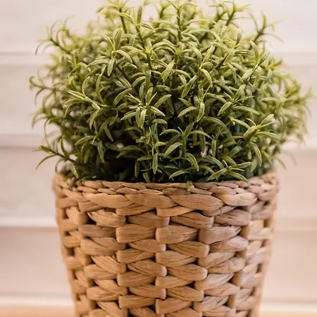 Groble Wawelofts *