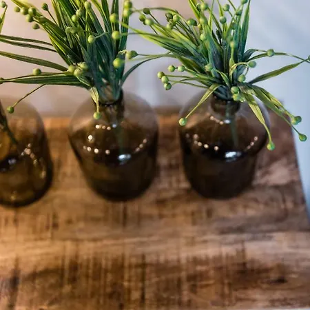 Groble Wawelofts Lägenhet